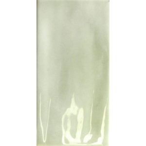 tonalite-nature-sage-10x20